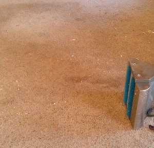 Photo of Steamex Carpet Cleaning