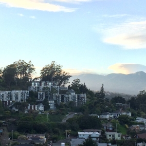 Photo of Sausalito Towers Apartments