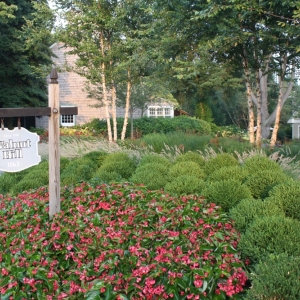 Photo of Walnut Hill Landscape Company