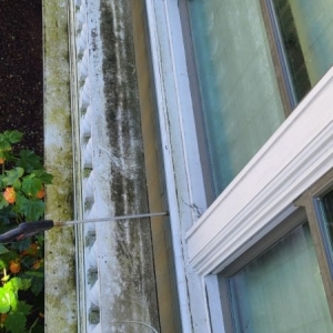 Photo of Window Cleaning Pressure Washing