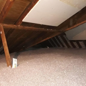 Photo of Carolina Energy Conservation