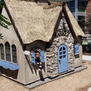 Photo of Fancy Built Playhouses