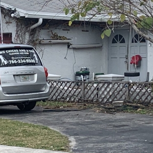 Photo of Two Chicks and a Van