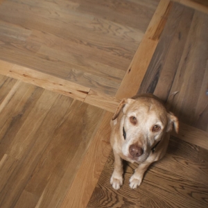 Photo of Professional Floor Covering & Cleaning