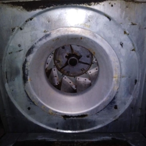 Photo of El Paso Cleaning Solutions