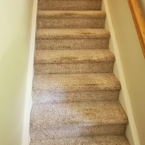 Charlotte 5 Star Presidential Cleaning