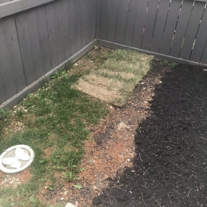 Photo of Backyard Ponds & Patios