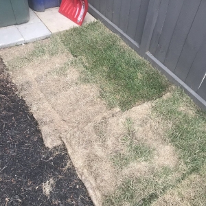 Photo of Backyard Ponds & Patios