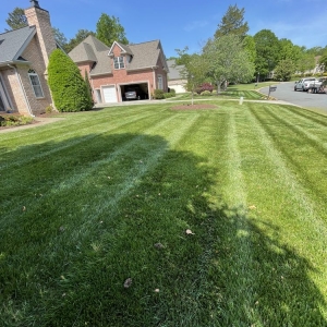 Photo of Teague Lawn Creations