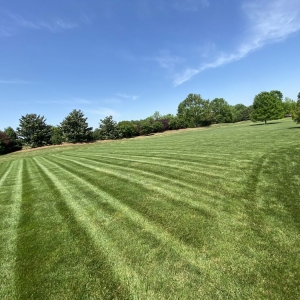 Photo of Teague Lawn Creations