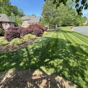 Photo of Teague Lawn Creations