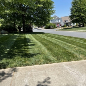 Photo of Teague Lawn Creations