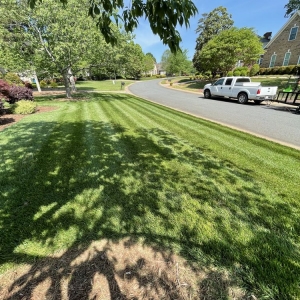 Photo of Teague Lawn Creations