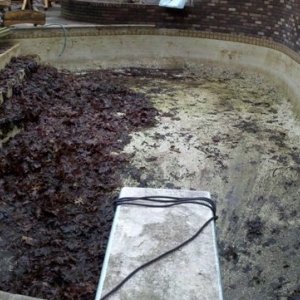Photo of Professional Pool Care