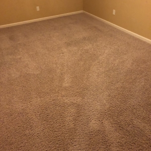 Photo of Carpet Geeks
