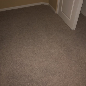 Photo of Carpet Geeks