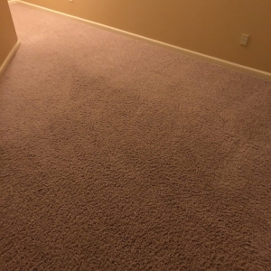 Photo of Carpet Geeks