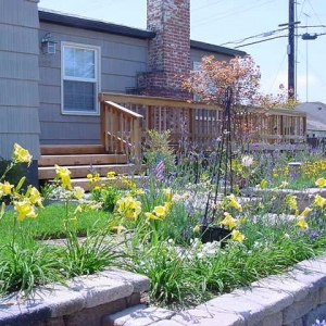 Photo of Doerr Landscape Design