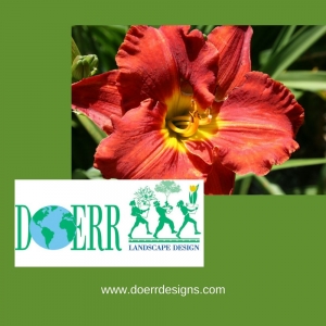 Photo of Doerr Landscape Design