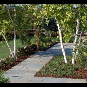 Photo of Contour Landscaping