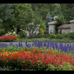 Photo of Contour Landscaping