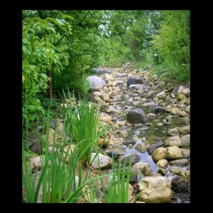 Photo of Contour Landscaping