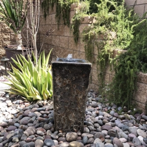 Photo of Water Wise