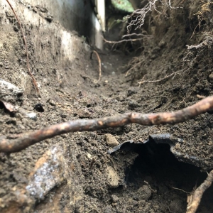 Photo of Kitsap Drainage and Waterproofing