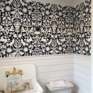 Photo of Thomas Francis Painting and Wallpaper