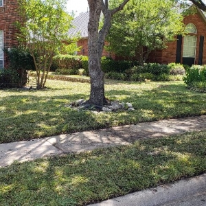 Photo of Cleaner Greens Lawn and Landscape