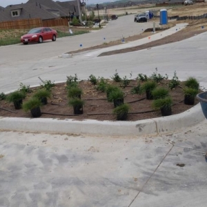 Photo of Cleaner Greens Lawn and Landscape