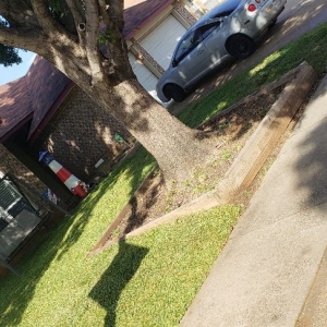 Photo of Cleaner Greens Lawn and Landscape