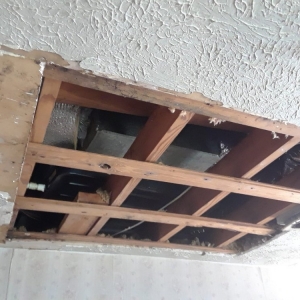 Photo of See Improvement