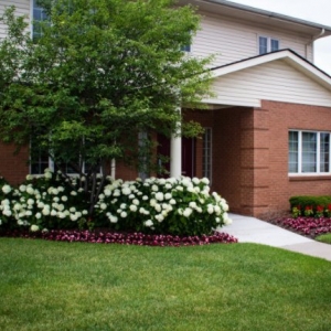 Photo of New Beginning Landscape Services