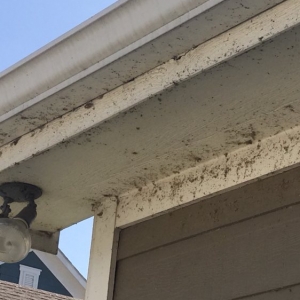 Photo of 380 Power Wash