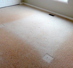 Photo of Heaven's Best Carpet Cleaning Roswell GA