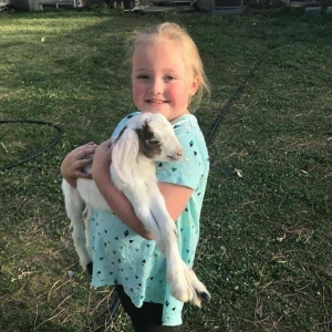 Photo of Lil Misses Travelin' Farm