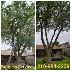 Photo of Burgess Services