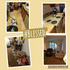 Photo of Sweepy Cleans