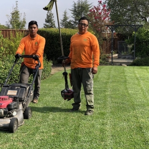 Photo of HC Gardening And Landscaping