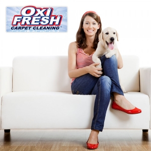 Photo of Oxi Fresh Carpet Cleaning