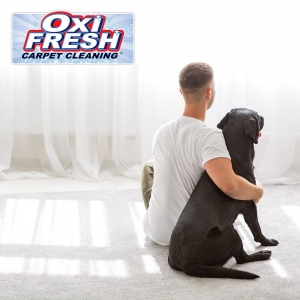 Photo of Oxi Fresh Carpet Cleaning
