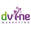 Photo of DVine Marketing