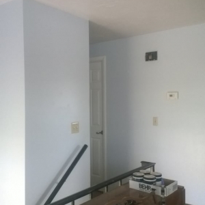Photo of Sheen Painting