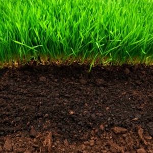 Photo of Raymond Landscaping