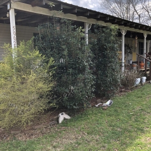 Photo of KD Lawn and Landscaping Services
