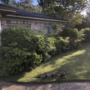 Photo of KD Lawn and Landscaping Services