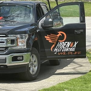 Photo of Phoenix Pest and Wildlife Control