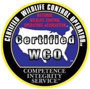 Photo of Phoenix Pest and Wildlife Control