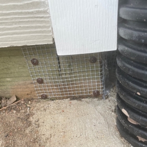 Photo of Phoenix Pest and Wildlife Control